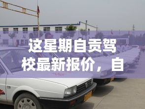 自贡驾校最新报价揭秘，探讨其背后的观点与趋势