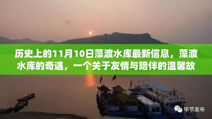 藻渡水库的奇遇，友情与陪伴的温馨故事，最新信息揭秘历史11月10日