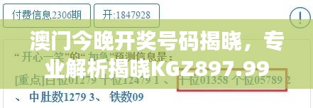 澳门今晚开奖号码揭晓，专业解析揭晓KGZ897.99