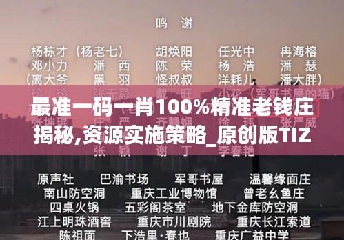 最准一码一肖100%精准老钱庄揭秘,资源实施策略_原创版TIZ244.22