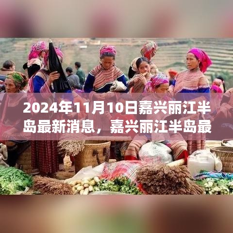 嘉兴丽江半岛未来规划与发展动态（最新消息，2024年11月报道）