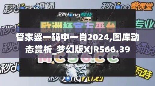 管家婆一码中一肖2024,图库动态赏析_梦幻版XJR566.39