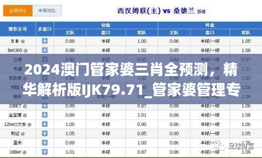 2024澳门管家婆三肖全预测，精华解析版IJK79.71_管家婆管理专版