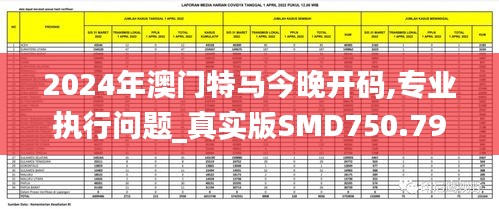 2024年澳门特马今晚开码,专业执行问题_真实版SMD750.79