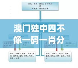 澳门独中四不像一码一肖分析报告_HSA905.96专业版