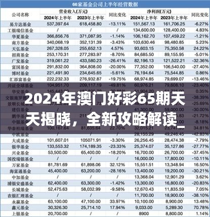 2024年澳门好彩65期天天揭晓，全新攻略解读_VLX201.31深度剖析