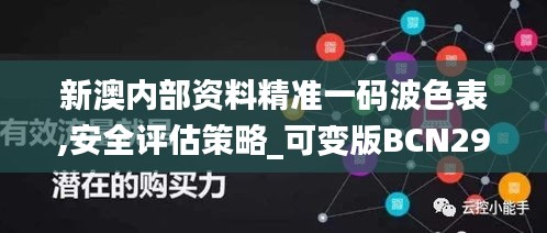 新澳内部资料精准一码波色表,安全评估策略_可变版BCN294.06