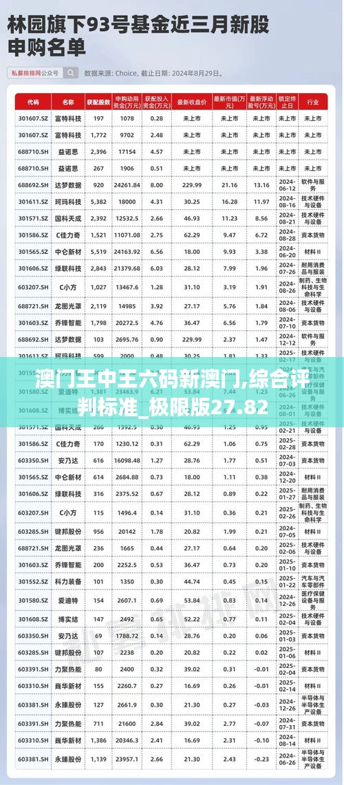 澳门王中王六码新澳门,综合评判标准_极限版27.82