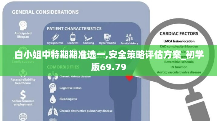 白小姐中特期期准选一,安全策略评估方案_初学版69.79