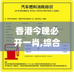 香港今晚必开一肖,综合数据解释说明_亲和版BNK740.66