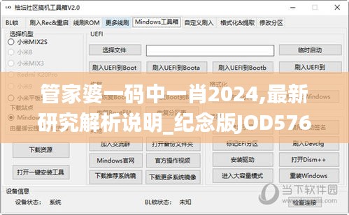 管家婆一码中一肖2024,最新研究解析说明_纪念版JOD576.34