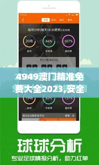 4949澳门精准免费大全2023,安全策略评估_广播版FRS257.28