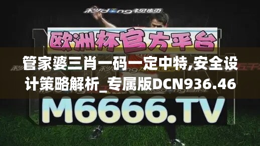 管家婆三肖一码一定中特,安全设计策略解析_专属版DCN936.46