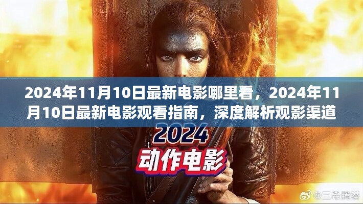 2024年11月10日最新电影观看指南及深度解析，观影渠道与个人立场探讨