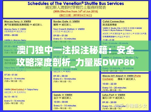 澳门独中一注投注秘籍：安全攻略深度剖析_力量版DWP802.23