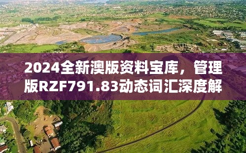 2024全新澳版资料宝库，管理版RZF791.83动态词汇深度解析