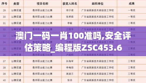 澳门一码一肖100准吗,安全评估策略_编程版ZSC453.6