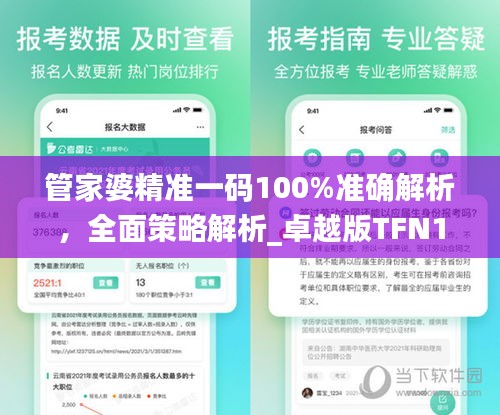 管家婆精准一码100%准确解析，全面策略解析_卓越版TFN164.33