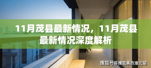 11月茂县最新情况深度解析报告