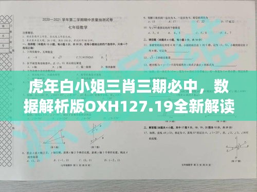 虎年白小姐三肖三期必中，数据解析版OXH127.19全新解读