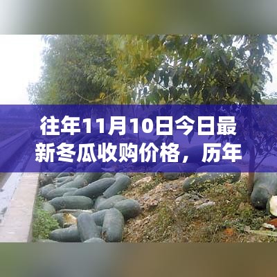 历年与今日冬瓜收购价格走势解析，影响因素与观点争议探讨