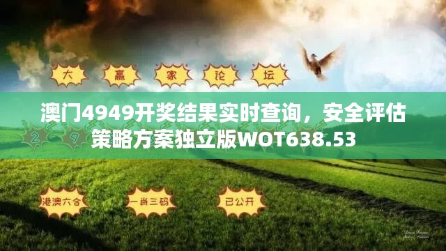 澳门4949开奖结果实时查询，安全评估策略方案独立版WOT638.53