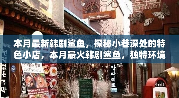 最新韩剧鲨鱼，探秘小巷特色小店，独特环境魅力难挡