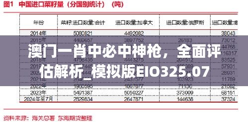 澳门一肖中必中神枪，全面评估解析_模拟版EIO325.07