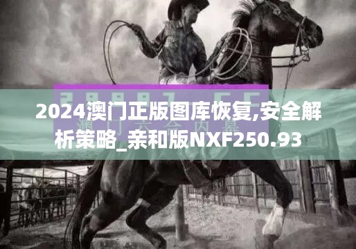 2024澳门正版图库恢复,安全解析策略_亲和版NXF250.93