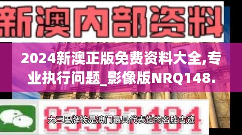 2024新澳正版免费资料大全,专业执行问题_影像版NRQ148.32