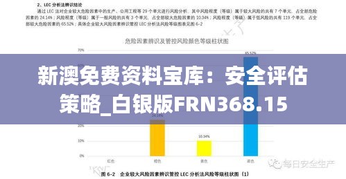 新澳免费资料宝库：安全评估策略_白银版FRN368.15