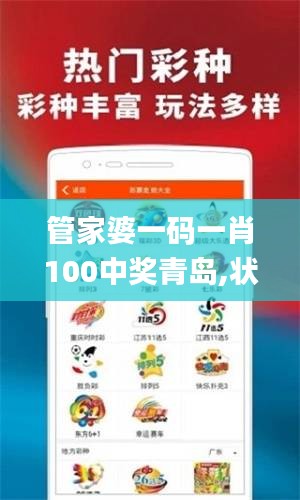 管家婆一码一肖100中奖青岛,状况评估解析_超清版FJC392.26