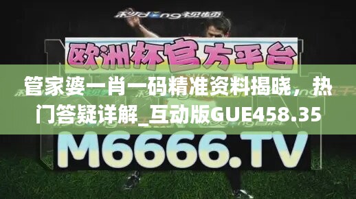 管家婆一肖一码精准资料揭晓，热门答疑详解_互动版GUE458.35