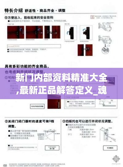 新门内部资料精准大全,最新正品解答定义_魂银版IOM829.08