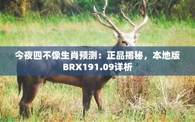 今夜四不像生肖预测：正品揭秘，本地版BRX191.09详析