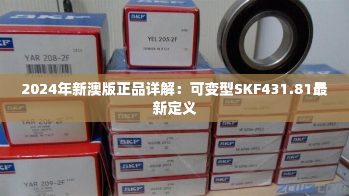 2024年新澳版正品详解：可变型SKF431.81最新定义