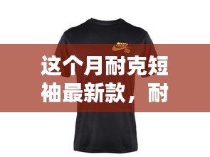 耐克新款短袖，时尚与运动的完美融合，本月最新潮流之选