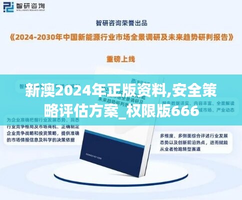 新澳2024年正版资料,安全策略评估方案_权限版666