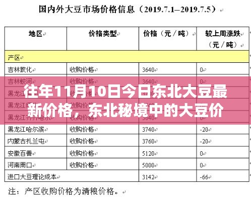 东北大豆最新价格揭秘，秘境中的大豆价格探秘与小巷深处的豆香小店