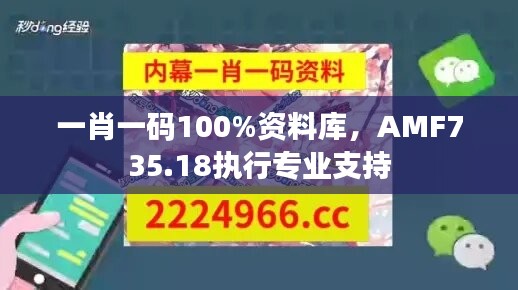 一肖一码100%资料库，AMF735.18执行专业支持