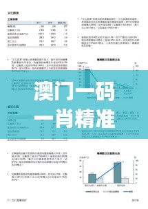 澳门一码一肖精准度解析：环境版YJM131.39综合评价