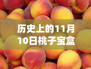 历史上的11月10日，桃子宝盒最新科技产品重塑生活，未来奇迹时刻触手可及