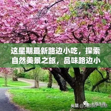 路边小吃与自然美景的探索，重拾内心的宁静与平和之旅