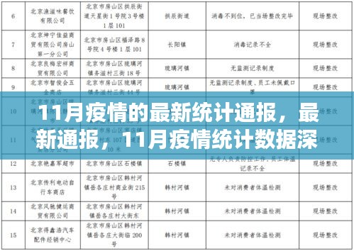 11月疫情最新统计深度解析，数据背后的真相