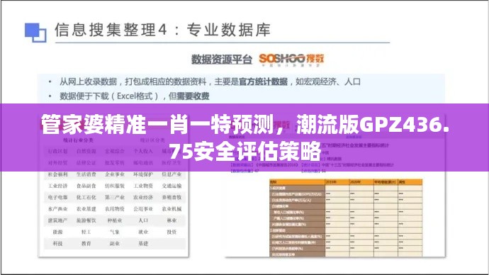 管家婆精准一肖一特预测，潮流版GPZ436.75安全评估策略