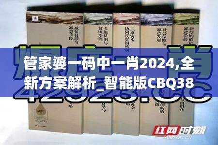 管家婆一码中一肖2024,全新方案解析_智能版CBQ383.17