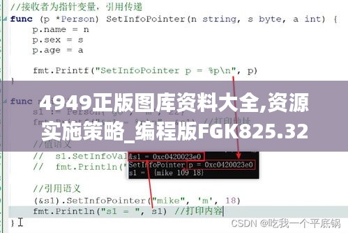 4949正版图库资料大全,资源实施策略_编程版FGK825.32