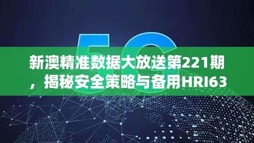 新澳精准数据大放送第221期，揭秘安全策略与备用HRI638.35解析