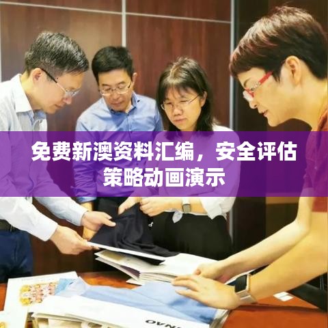 免费新澳资料汇编，安全评估策略动画演示