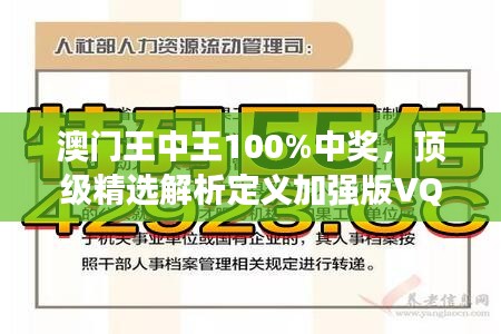 澳门王中王100%中奖，顶级精选解析定义加强版VQU482.13详解